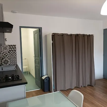 Apartment Vue Chateau 100m Etang, Et Halles *